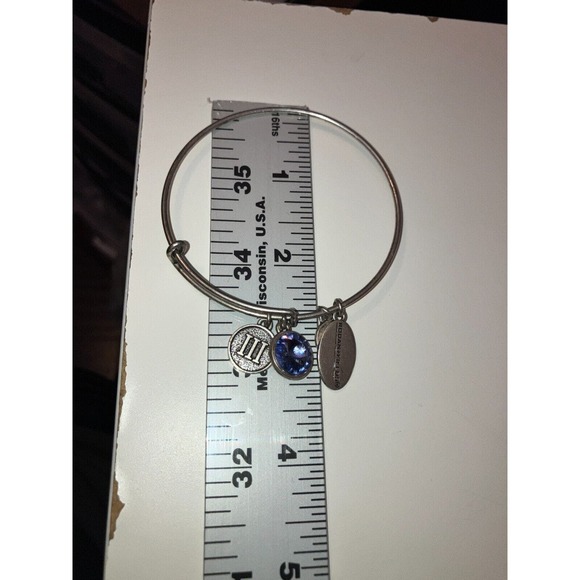 Rodan + Fields Charm Silver-Tone Bangle Bracelet! - Picture 14 of 15